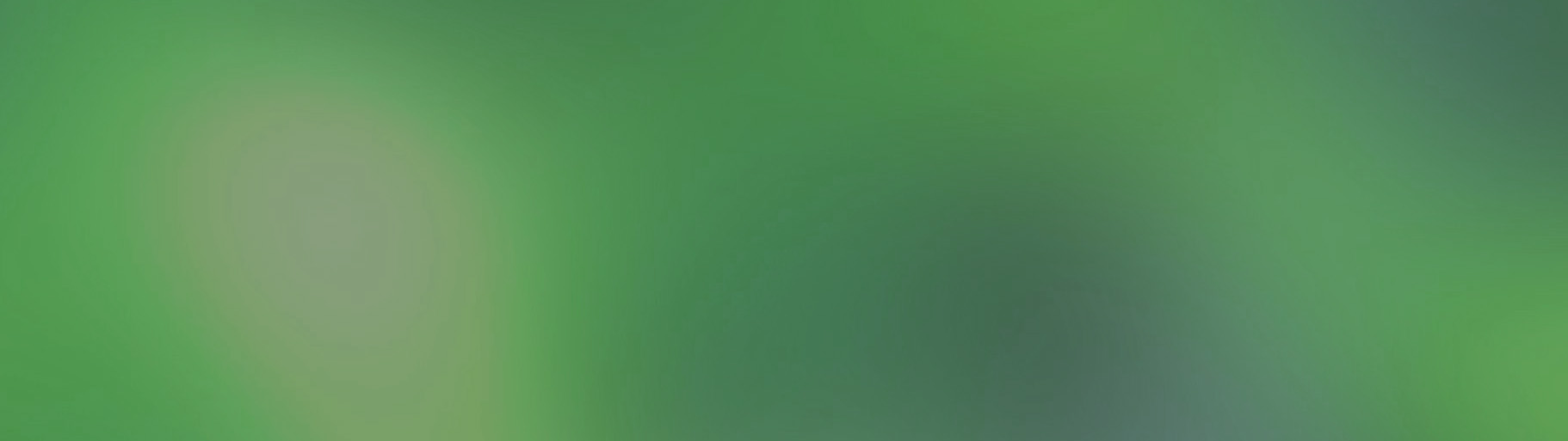 slide_2_bg